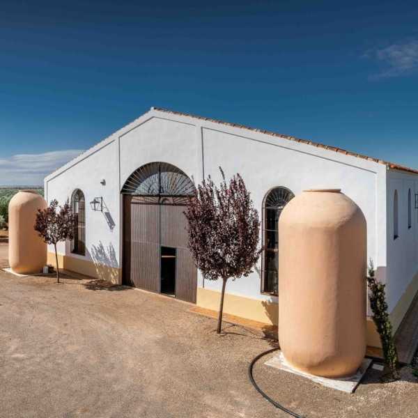 Oliwa z oliwek Palacio de Los Olivos - Magnum 1500 ml - Oliwa z oliwek - Palacio de los Olivos