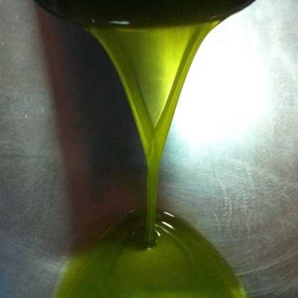 Olive Oil Oro del Desierto Hojiblanca 500 ml - Organic olive oil - Oro del Desierto 2