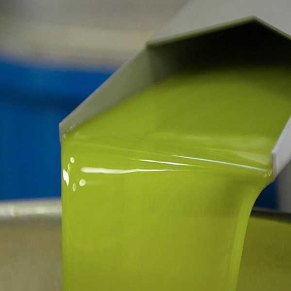 Olive Oil Picualia first day of harvest Picual 500 ml - Olive oil - Picualia