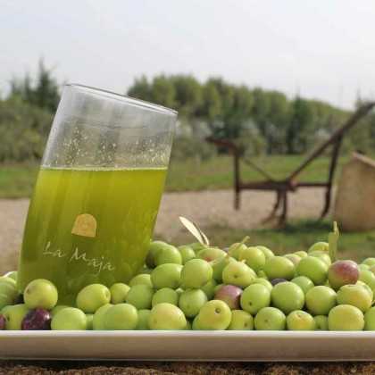 Olive oil Alfar Unfiltered natural oil from the day of harvest 500ml - Olive oil - Agrícola La Maja 2