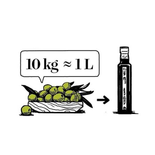 Organic Olive Oil Artajo 10 Koroneiki 500 ml - Organic olive oil - Artajo