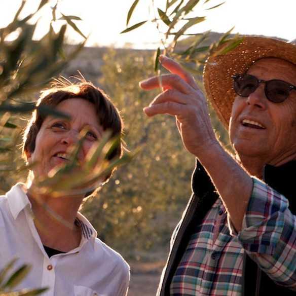 Aceite de Oliva Ecológico Deortegas Picual Lata de 3 Litros - Latas - Deortegas