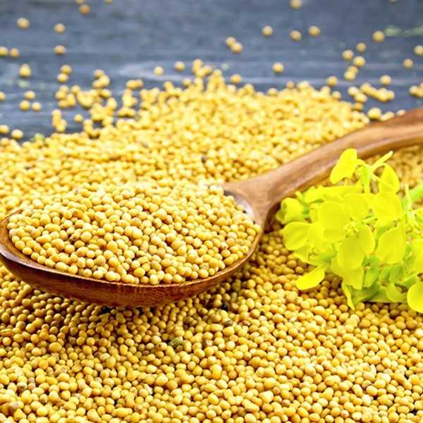 Mostaza (Grano) Onena 50g