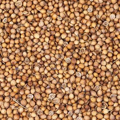 Prawdziwa kolendra Coriandro Onena 30g - Przyprawy - Onena 2