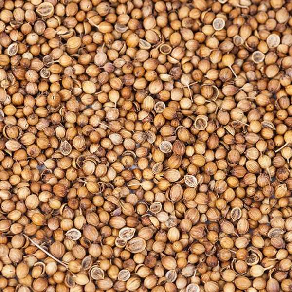 Echter Koriander Onena 30g bei Spanish-oil.com