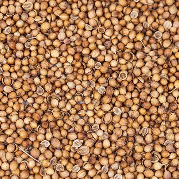 Coriander Onena 30g