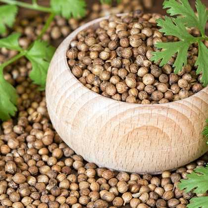 Cilantro Onena 25g - Especias - Onena 2