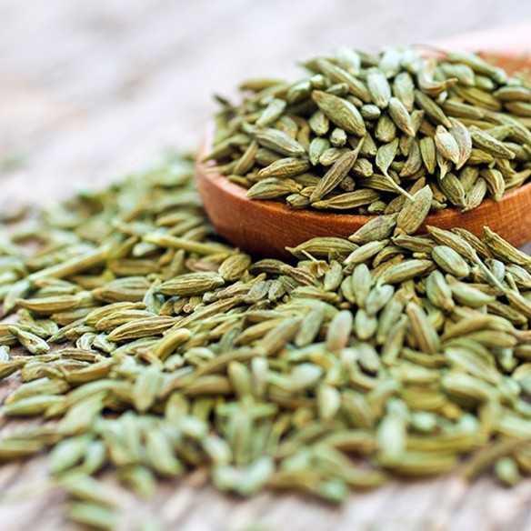 Anise