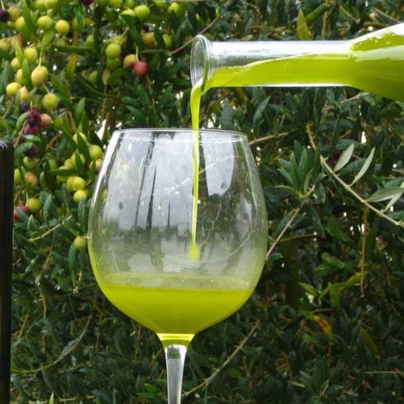 Alfar unfiltered olive oil – direct bottling, Arbequina – 500 ml