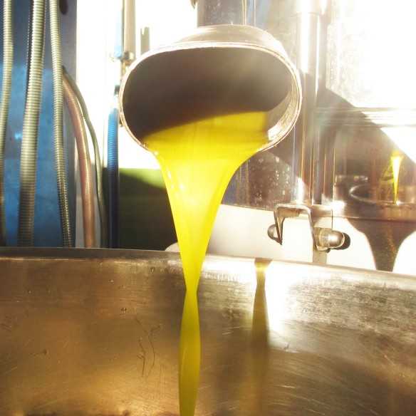 Huile d’Olive Oro San Carlos