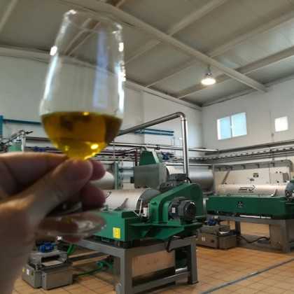 Olive Oil Casa del Agua - Picual 500 ml - Olive oil - Oro Bailen 2