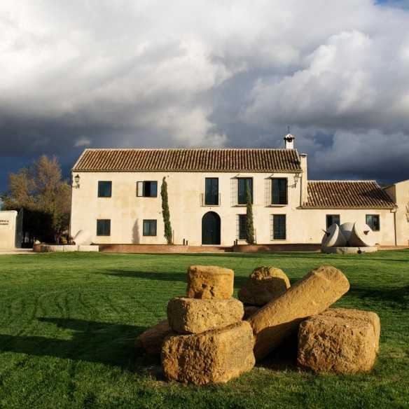Vinagre Pedro Ximénez Finca la Torre Selección