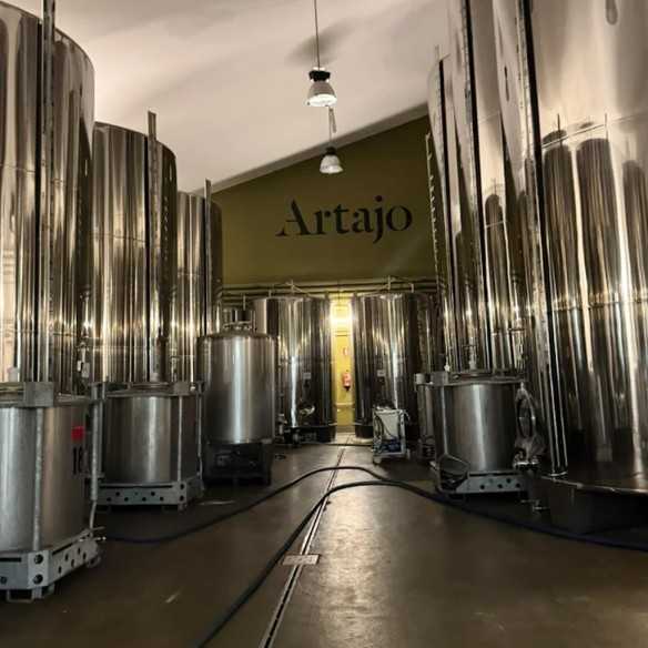 Vinaigre Artajo Pedro Ximénez – Corsé et aromatique | Vinaigre de haute qualité
