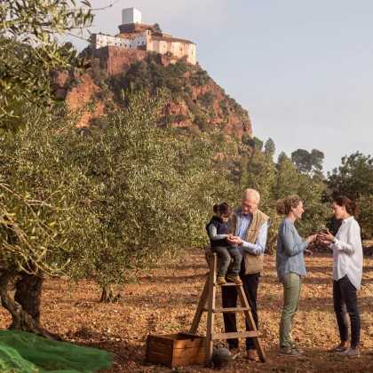 Vinaigre balsamique Mas Tarrés par Olis Solé | Affiné 7 ans 2