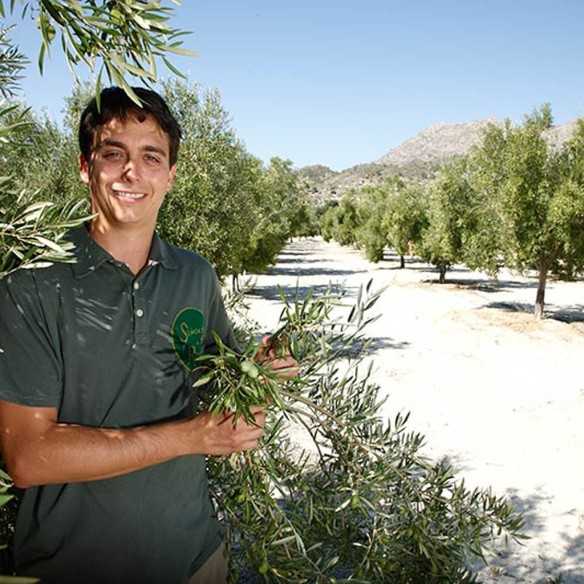 Señoríos de Relleu Organic Olive Oil 100 ml | Organic & Fruity