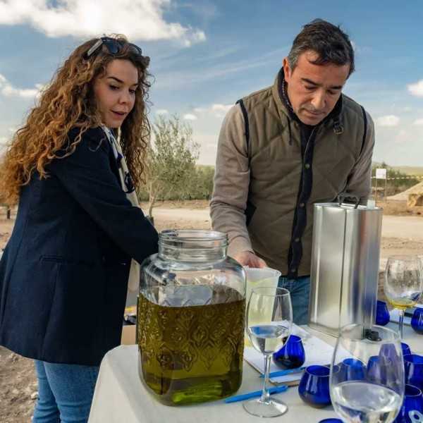 Peña Luna Hojiblanca Bio 500 ml – Organic Early-Harvest EVOO