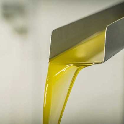 Arbequina Olive Oil 500 ml | Condado de Martiniega EVOO 2