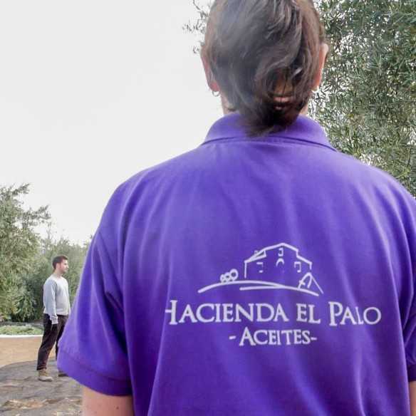 Olive Oil Hacienda El Palo Premium Picual 500ml - Olive oil - Hacienda El Palo