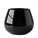 Olive Oil Black Tasting Glass | EVOO Tasting Cup