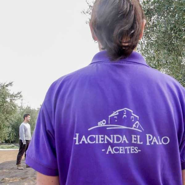 Olivenöl Hacienda El Palo Premium Picual 500ml - Olivenöl - Hacienda El Palo
