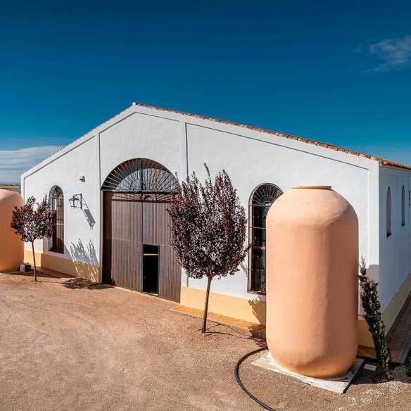 Oliwa z oliwek Palacio de Los Olivos - Arbequina 500 ml - Oliwa z oliwek - Palacio de los Olivos