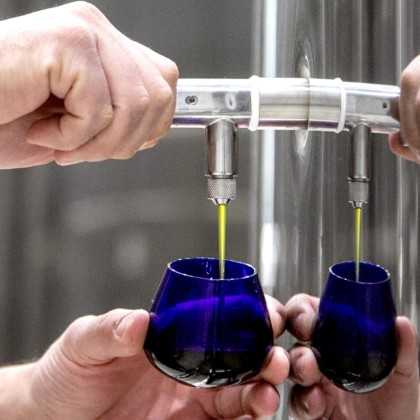 Olive Oil Parqueoliva DOP Priego de Córdoba 5 L - Olive oil - Almazaras de la Subbetica 2
