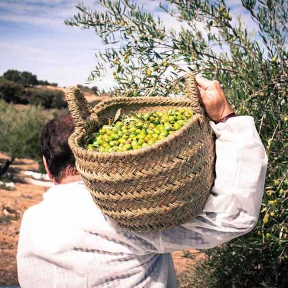 Olive Oil Nobleza del Sur Novo By Lola Sagra 500ml - Olive oil - Nobleza del Sur