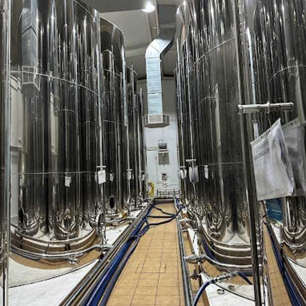 Oliwa z oliwek Oro Bailen Reserva znana Picual 3-litrowa torebka w pudełku - Oliwa z oliwek - Oro Bailen