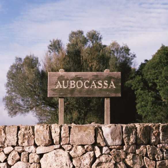 Olive Oil L'AMO Aubocassa D.O. Oli de Mallorca 500 ml - Olive oil - Aubocassa