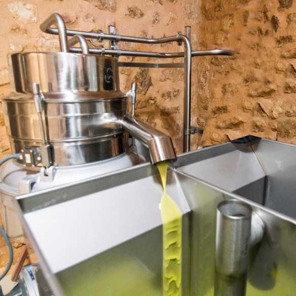 Olive Oil L'AMO Aubocassa D.O. Oli de Mallorca 500 ml - Olive oil - Aubocassa