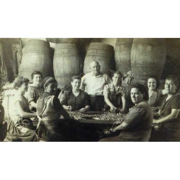 Gordal Oliven gefüllt mit Knoblauch - Triana Olivas Amphora 300 g - Oliven - Torremar