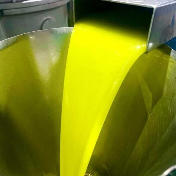 Olivenöl Feinschmecker Olio Award 2023 Testsieger Olivenöl Pressung bei Rincion de la Subbetica