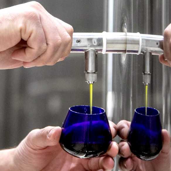 Olivenöl Feinschmecker Olio Award 2023 Testsieger Abfüllung des Olivenöls