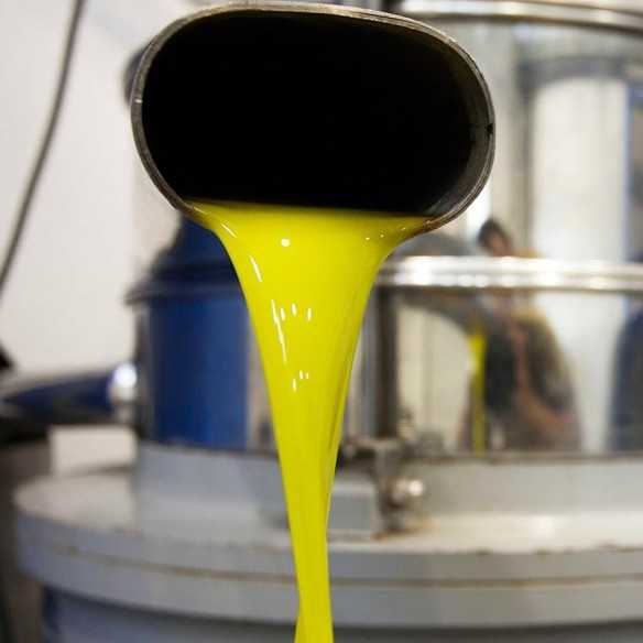 Huile d'Olive Bio Artajo 10 Arróniz 500 ml - Huile Bio - Artajo