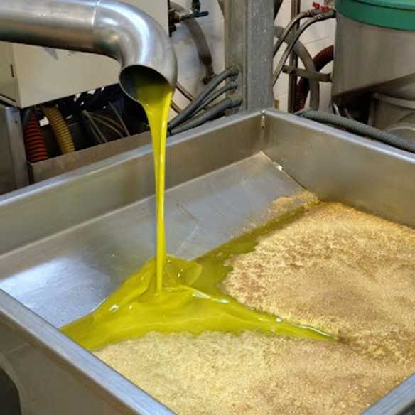 Olive Oil Set Oro Bailen Arbequina and Picual 500ml - Olive oil - Oro Bailen