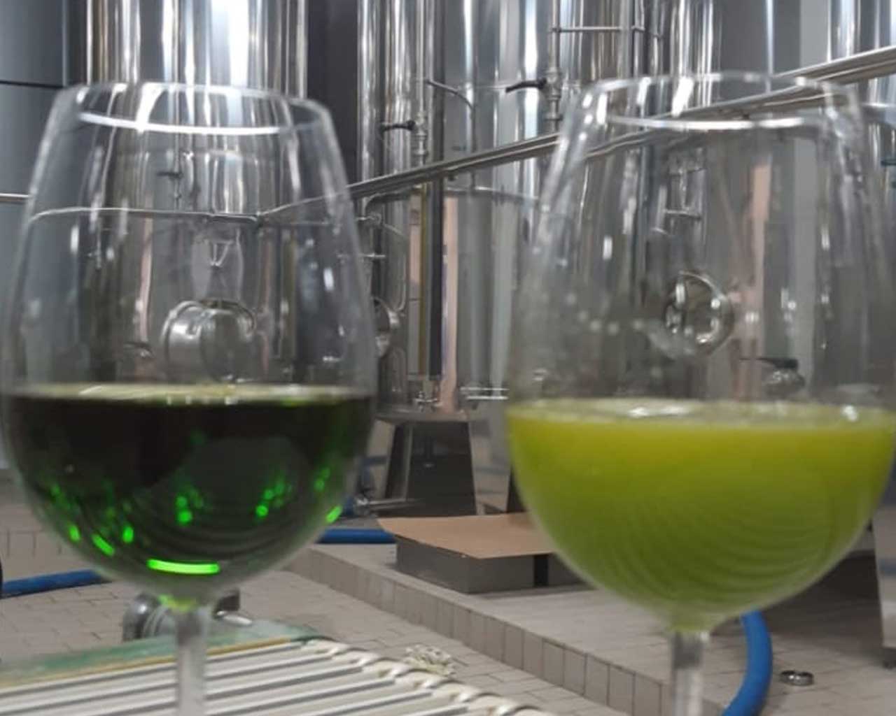 Unfiltered vs. filtered Olive Oil