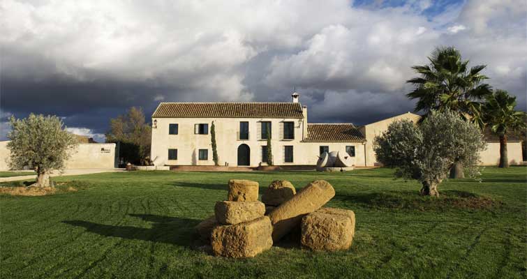 Finca la Torre einer ber besten Olivenöle Spaniens