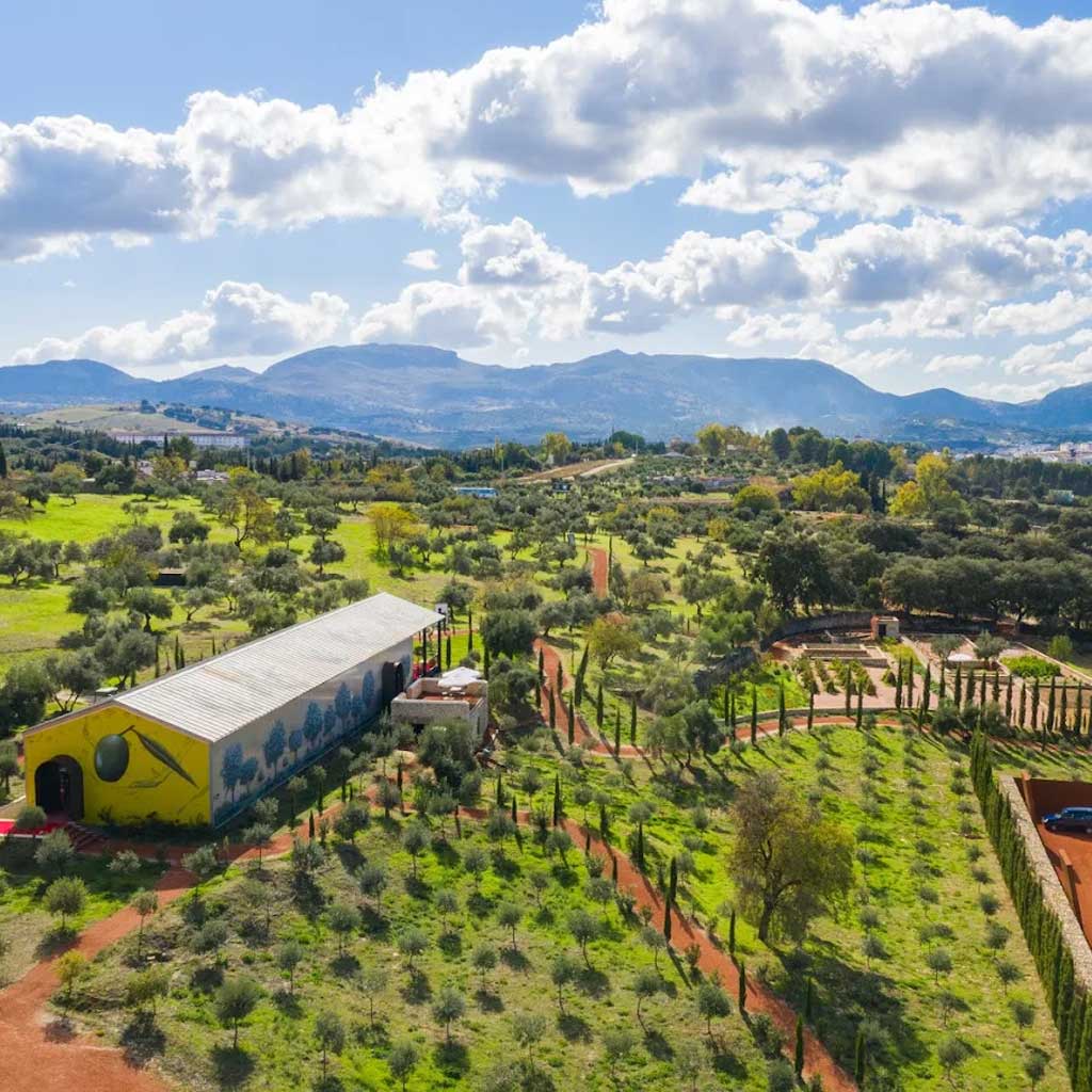 Aceite de Oliva La Organic
