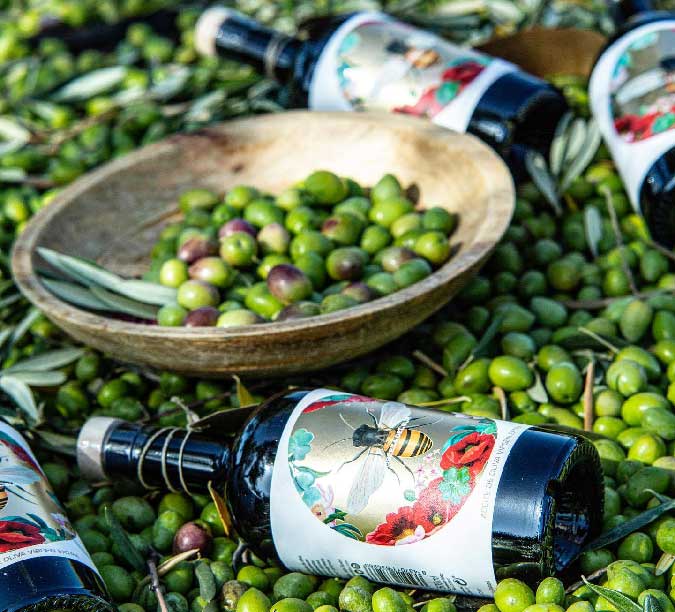 Olive oil from Nobleza del Sur from Spain