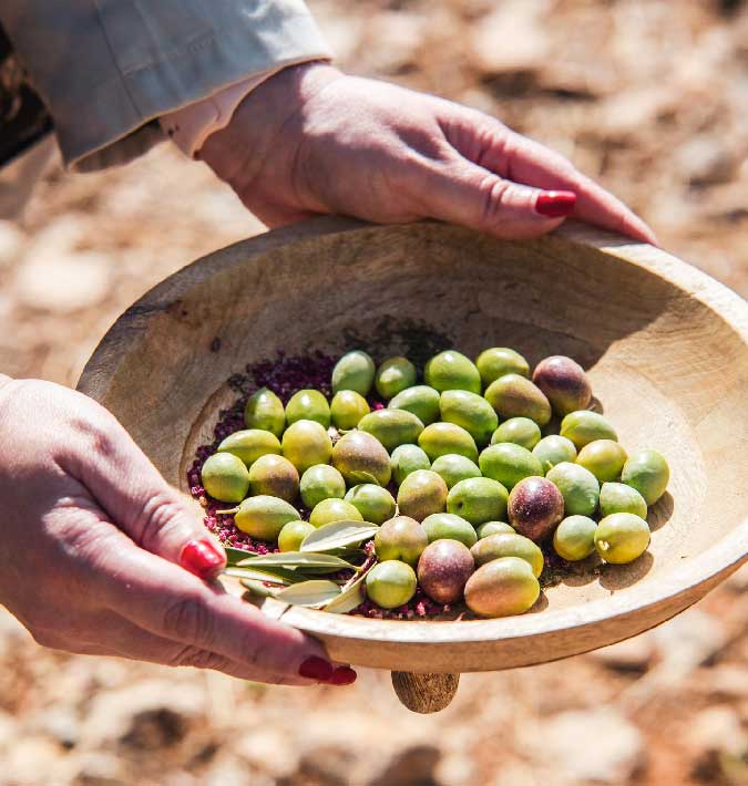 Aceite de oliva Nobleza del Sur de Jaén