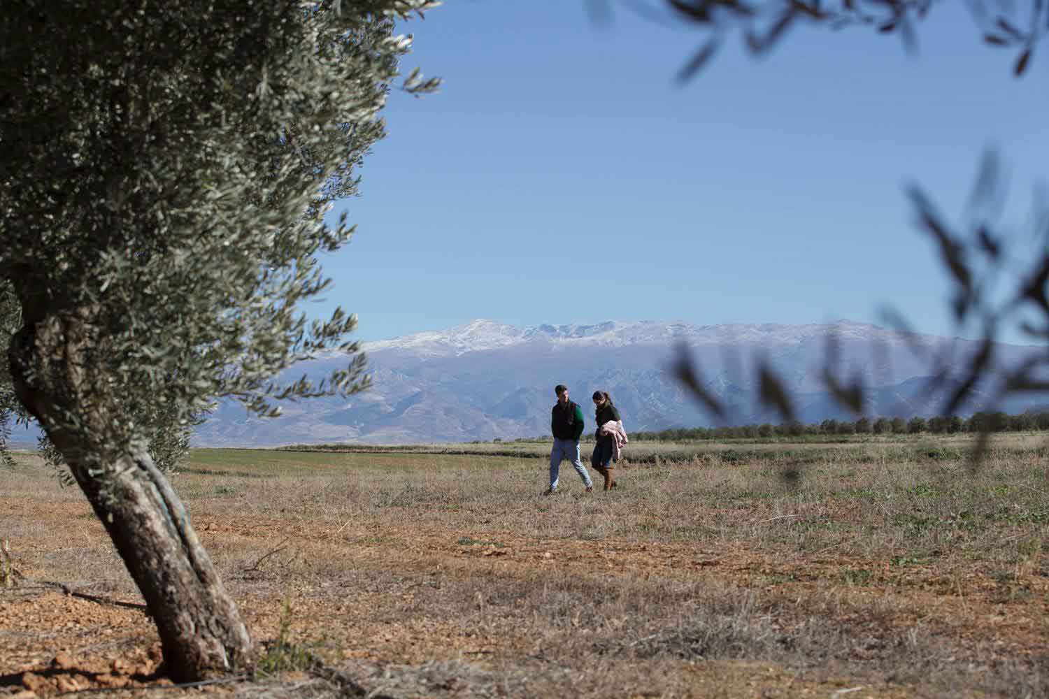 O-Med Olivenöl Geschwister Paola und Juan de Dios García