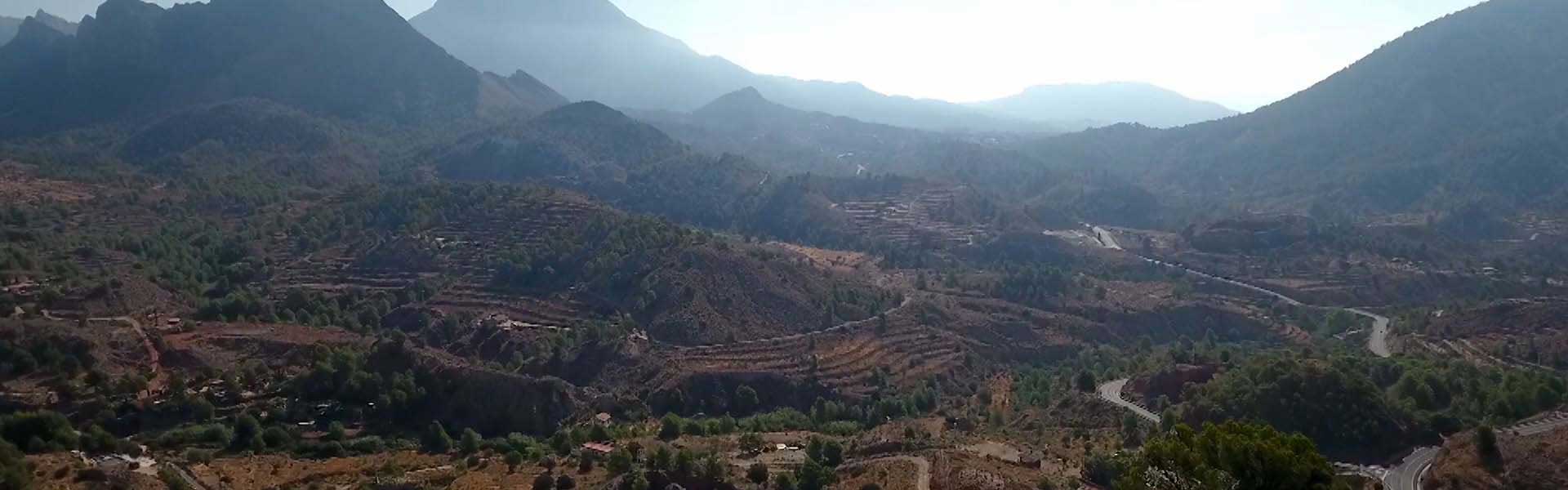 Señoríos de Relleu Olivenhaine in den Bergen Spaniens