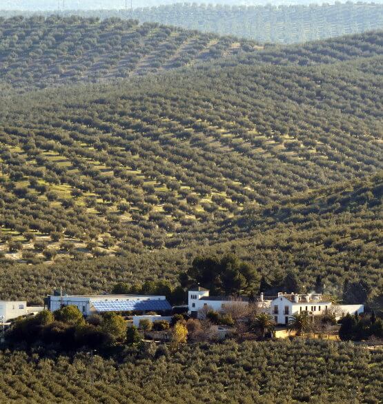 Cortijo suerte alta