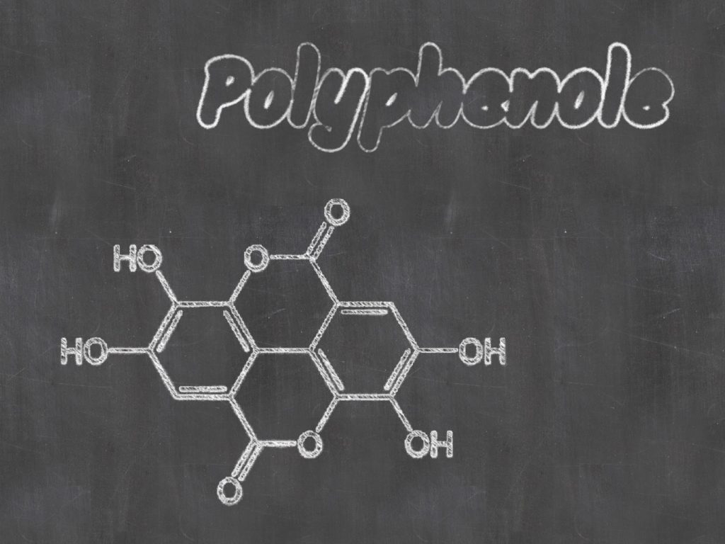 Polyphenole im Olivenöl