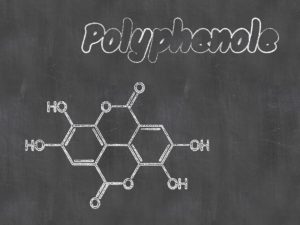 Polyphenole im Olivenöl