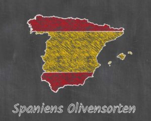 Spaniens Olivensorten