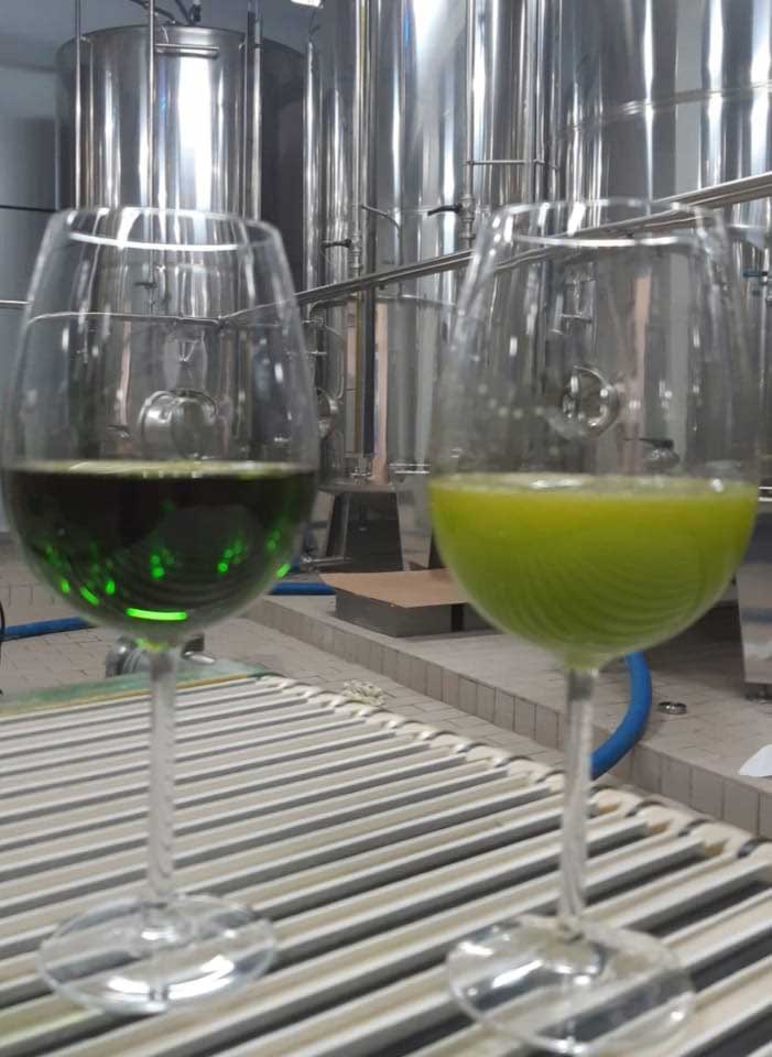 Gefiltertes und ungefiltertes (Naturtrübes) Olivenöl